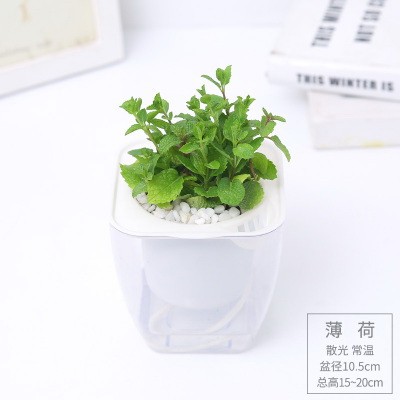 ng28相信品牌的力量