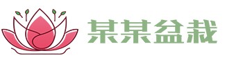 南宫NG·28(中国区)相信品牌力量有限公司